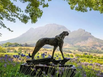 Full Day Wine Tasting Tour in Stellenbosch from Cape Town