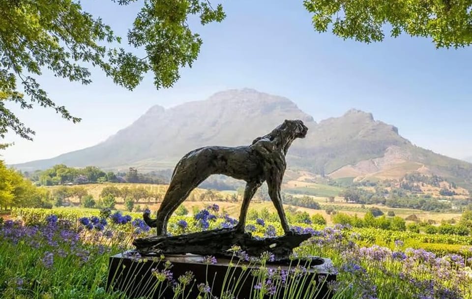 Full Day Winelands Tour With Wine Tasting from Cape Town