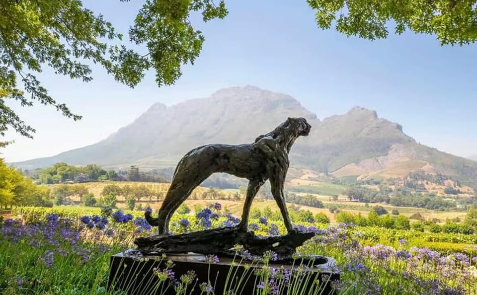 Full Day Wine Tasting Tour in Stellenbosch from Cape Town