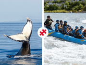 Whales & White Water Rafting 1