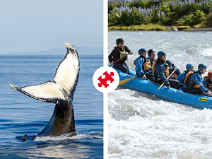 Whales & White Water Rafting