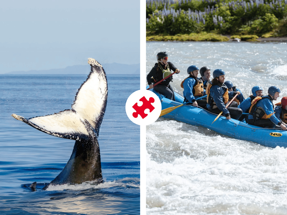 Whales & White Water Rafting — Elding Adventure at Sea