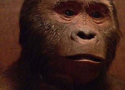 La Cuna de la Humanidad: Viaje a Nuestros Orígenes - en Español 7