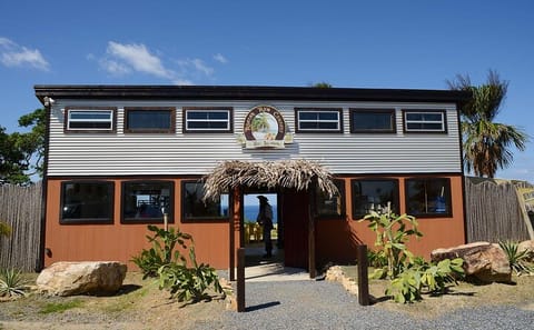 Wildlife and Cultural Tour in Dixon Cove, Honduras
