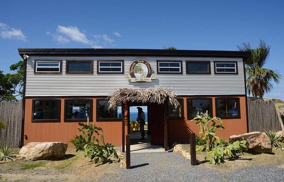 Monkeys & sloth hangout,Chocolate Factory,Rum Factory, island tour/Beach