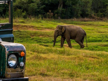 Eco Safari Adventure Tour in Colombo, Sri Lanka