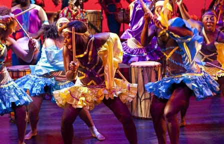 Safari Park Hotel Cat Dancers and Dinner Experience