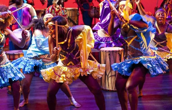 Safari Park Hotel Cat Dancers and Dinner Experience