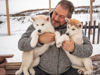 Husky Petting in Akureyri , photo 14