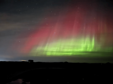 Northern Lights Small Group Tour From Reykjavik, photo 3