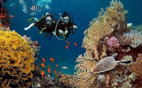 Scuba Diving and Snorkeling Tour in Antalya with Lunch