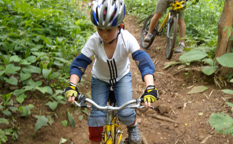 Mountain Bike Tour in Chiang Mai's Rainforest and Lake