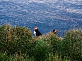 9 Day - Around Iceland & Wild Westfjords, photo 42