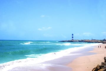 Private Day Trip to Sacred Dwarka from Rajkot