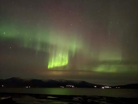 Northern Lights Bus Tour From Reykjavik, photo 3