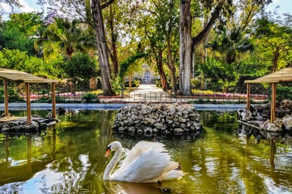 Mdina, Dingli Cliffs & San Anton Botanical Gardens (Half Day)