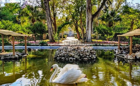 Half-Day Tour of Mdina, Dingli Cliffs, and San Anton Gardens