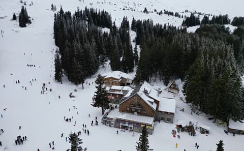 Skiing Lessons for Beginners at Vitosha Mountain, Sofia