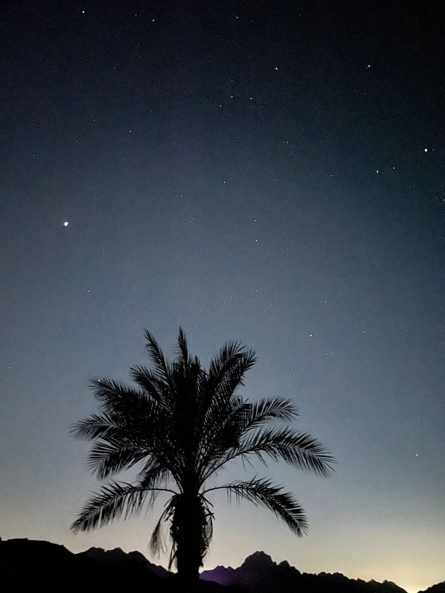 Private Luxor and Karnak Temple Tour