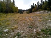 Pamporovo or Rhodopes Rent a Bike + E-guide 8