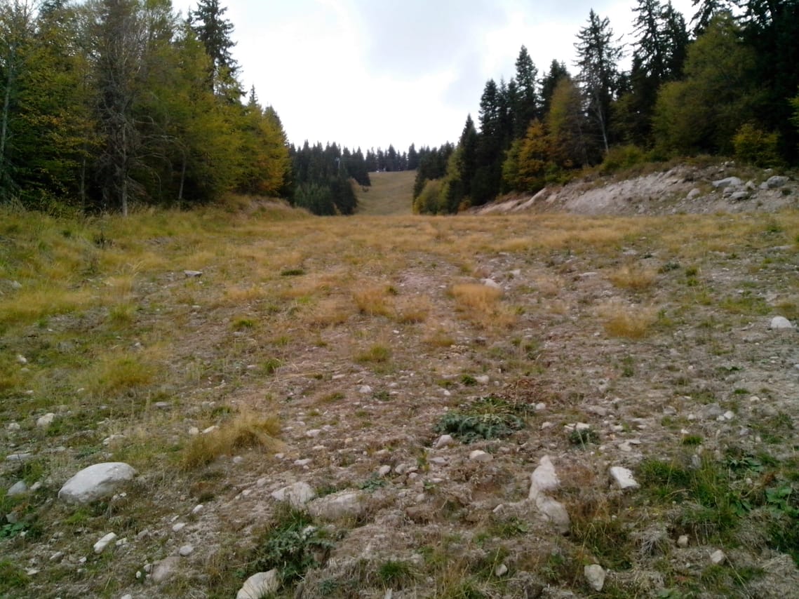 Pamporovo or Rhodopes Rent a Bike + E-guide 8