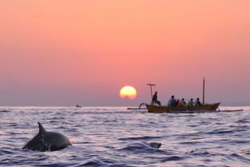 Sunrise Dolphin Watching and Waterfall Tour in North Bali