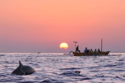 North Bali : Sunrise with Dholpin, Waterfall and Iconic Gate