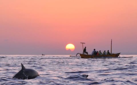 Sunrise Dolphin Watching and Waterfall Tour in North Bali