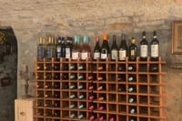 Authentic Tuscan Wine Tasting in a Florentine Osteria 8