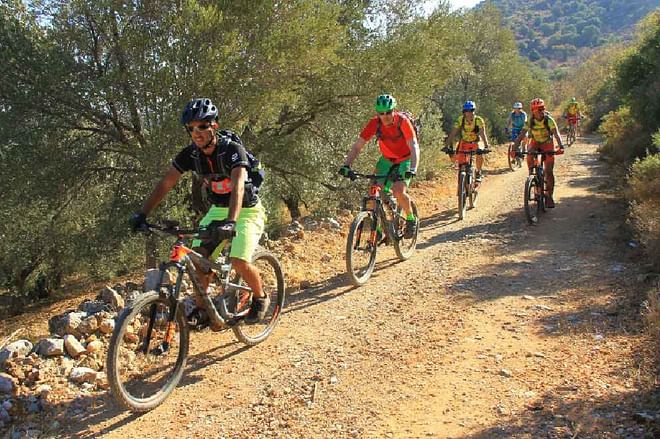 Private tour: Thrill-Seeking Mountain Bike Adventure Down the Guadalest Riverbed