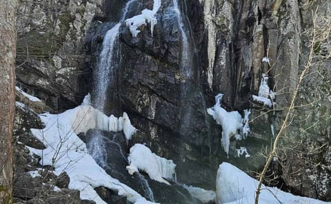 Hiking Tour to Boyana Waterfall and Mt. Vitosha from Sofia