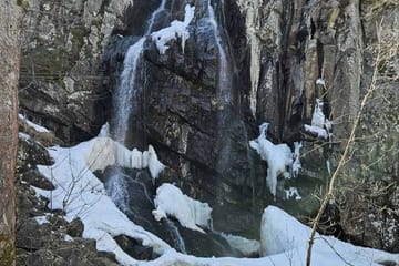 Hiking Tour to Boyana Waterfall and Mt. Vitosha from Sofia