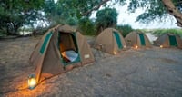 Savuti: 3 Day Mobile Safari with Safari River Cruise in Chobe River 9