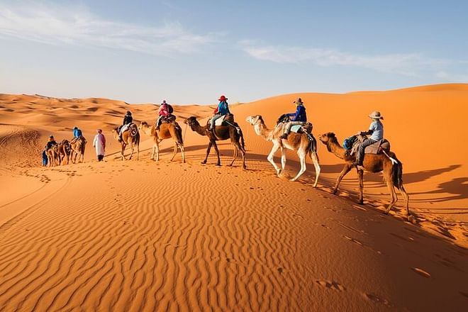 Excursión en camello en Abu Dabi con traslado, diversión y más