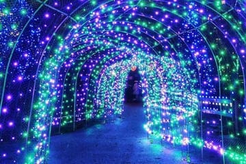 Private Vancouver Christmas Light Tour with Transfers