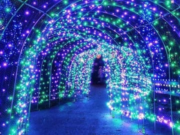 Vancouver Christmas light