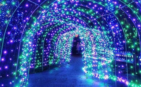 Private Vancouver Christmas Light Tour with Transfers