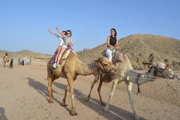 Desert Quad and Camel Safari with BBQ Dinner in Hurghada