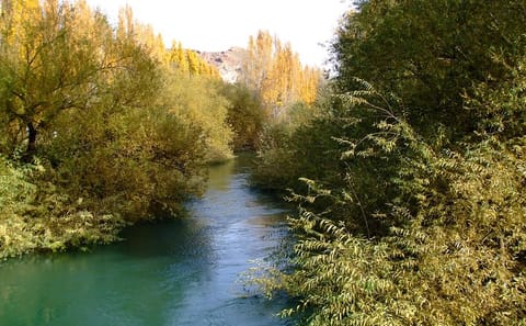 Full Day Tour of Florentino Ameghino Dam from Puerto Madryn