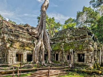 Ta PromTemple, Around Cambodia Travel.