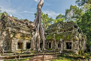 5 Must-See Temples With Private Guided Tour