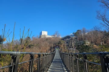 Starbucks DMZ with North Korea View