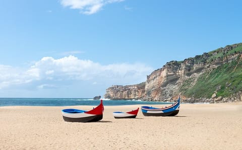 Private Day Trip to Sintra, Pena Palace, Nazaré & Fátima from Lisbon