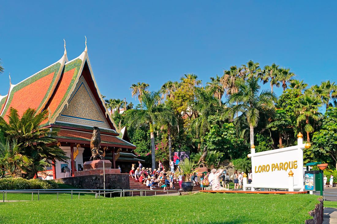 Entrance to Loro Park with transfer 4
