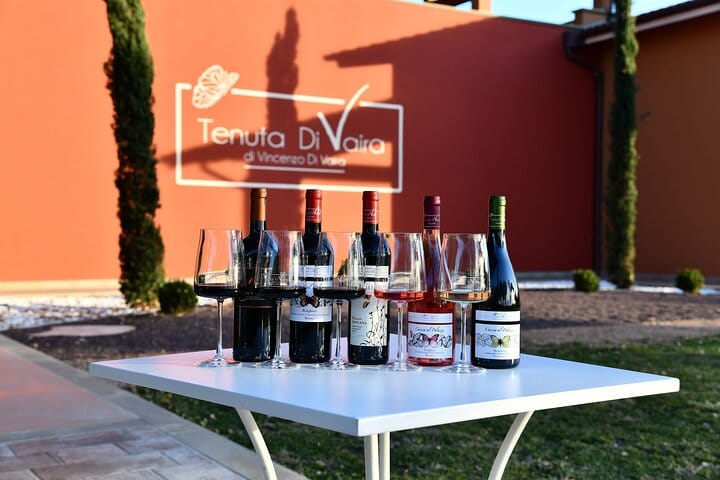 Exclusive Private Bolgheri Experience from Florence: The Land of the Super Tuscan 2
