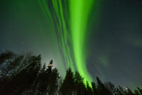 Private Aurora Tour (1-4) - Saariselkä 3