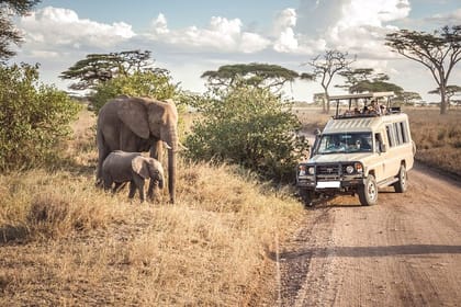 5 Days Nairobi Amboseli Tsavo West and Tsavo East National Park