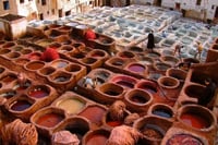 Fez Tanneries