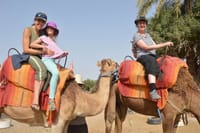 Camel riding with BBQ and sunset 3