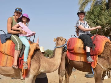 Camel Riding and BBQ Dinner at Sunset in Agadir